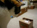 動画:いたずらバンク2