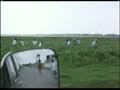 動画:デッドマンウォーキング